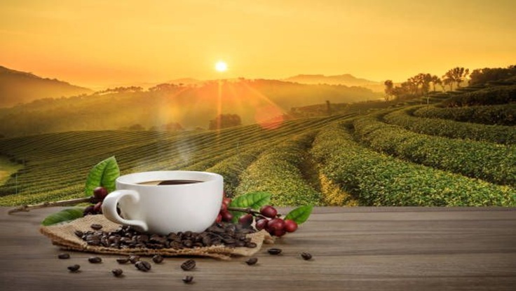 coffecup1