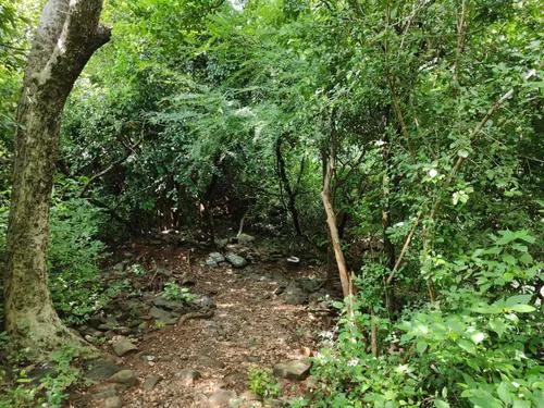 close view of Lankamalleswara Wildlife Sanctuary in kadapa