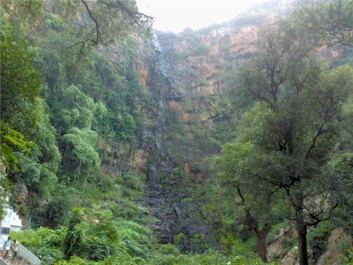 overview of Lankamalleswara Wildlife Sanctuary in kadapa